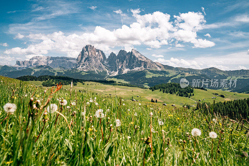 Alpe di Siusi与Sassolungo, Langkofel山脉群在Dolomites，意大利